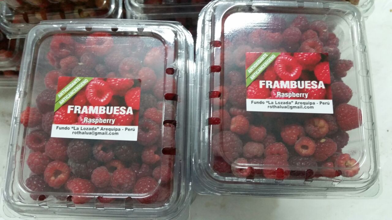 img-20160617-wa0006