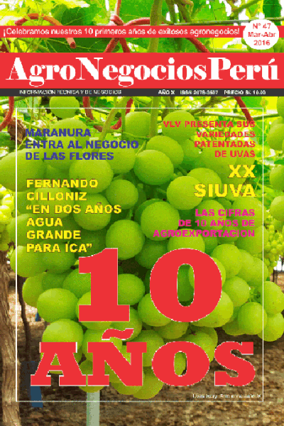 tres-ediciones-recientes