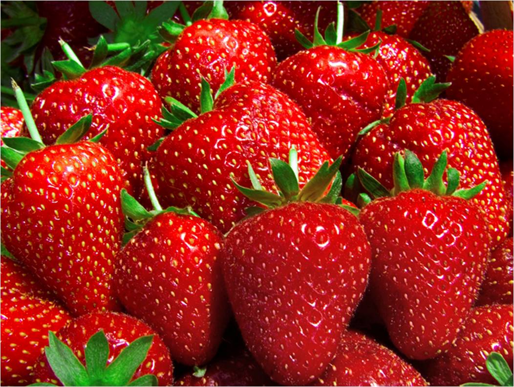 fresas-g