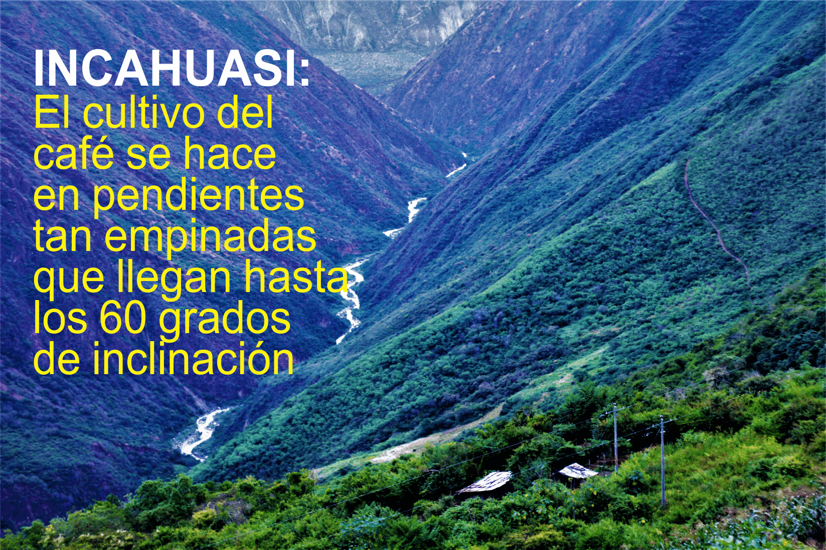 incahuasi4