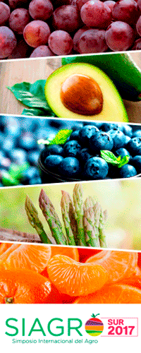 Banner Digital AGRONEGOCIOS PERU-200x500-siagro-sur