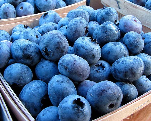 blueberries-fruits-export-725856