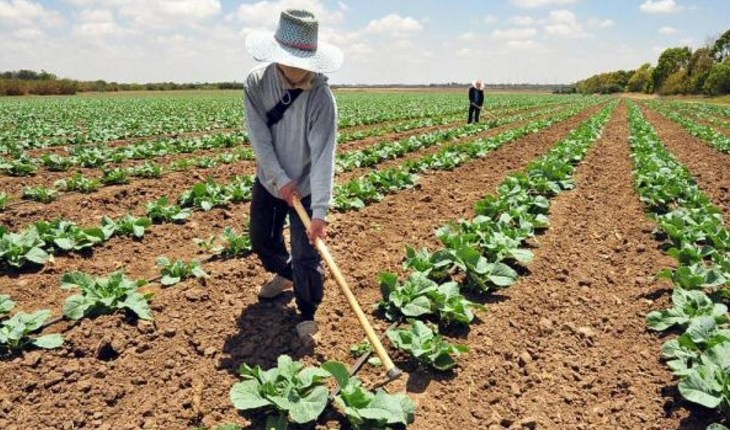agricultura-bpa.jpg