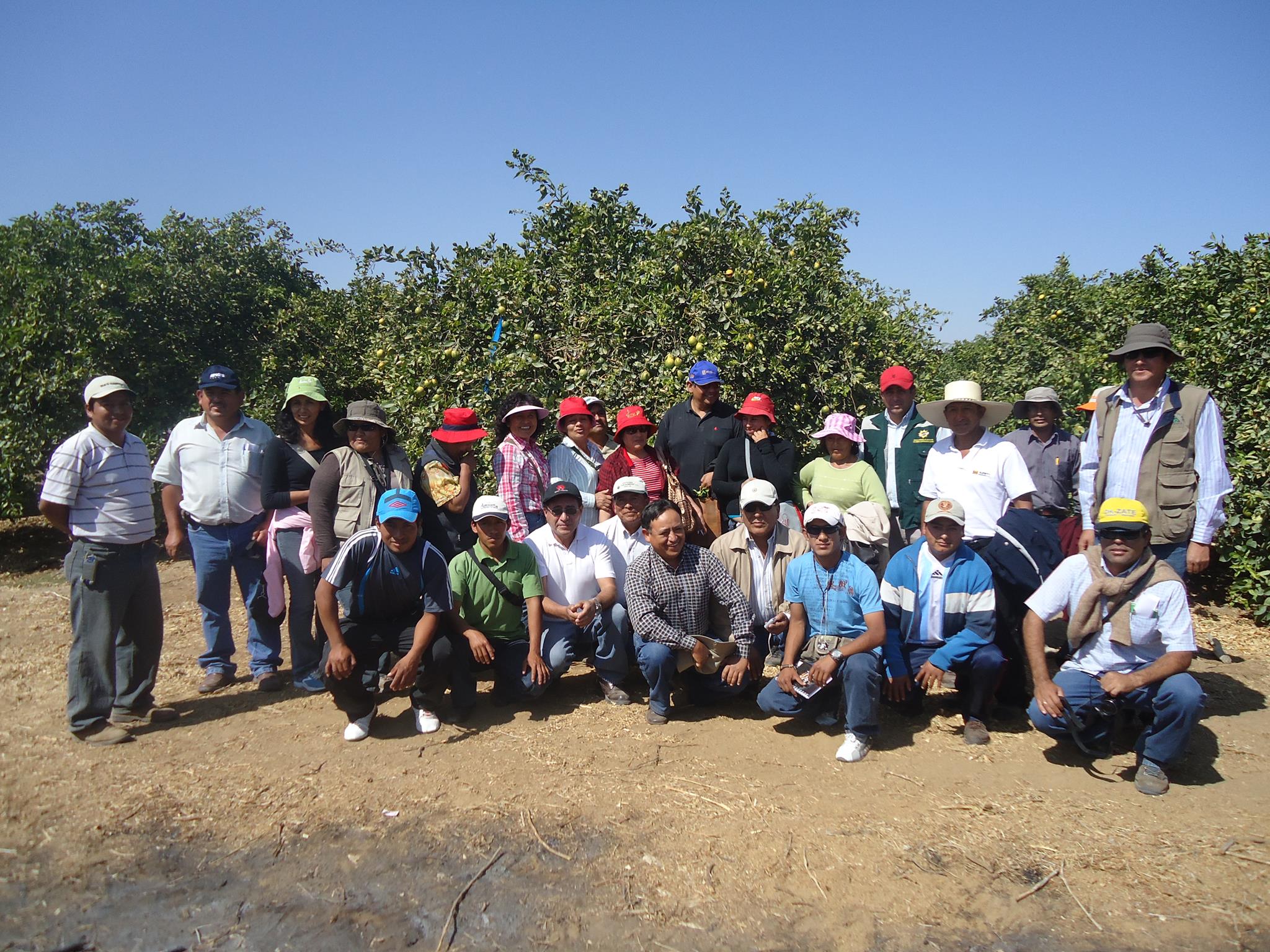 asociación -productores