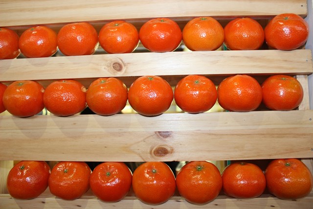 mandarinas1