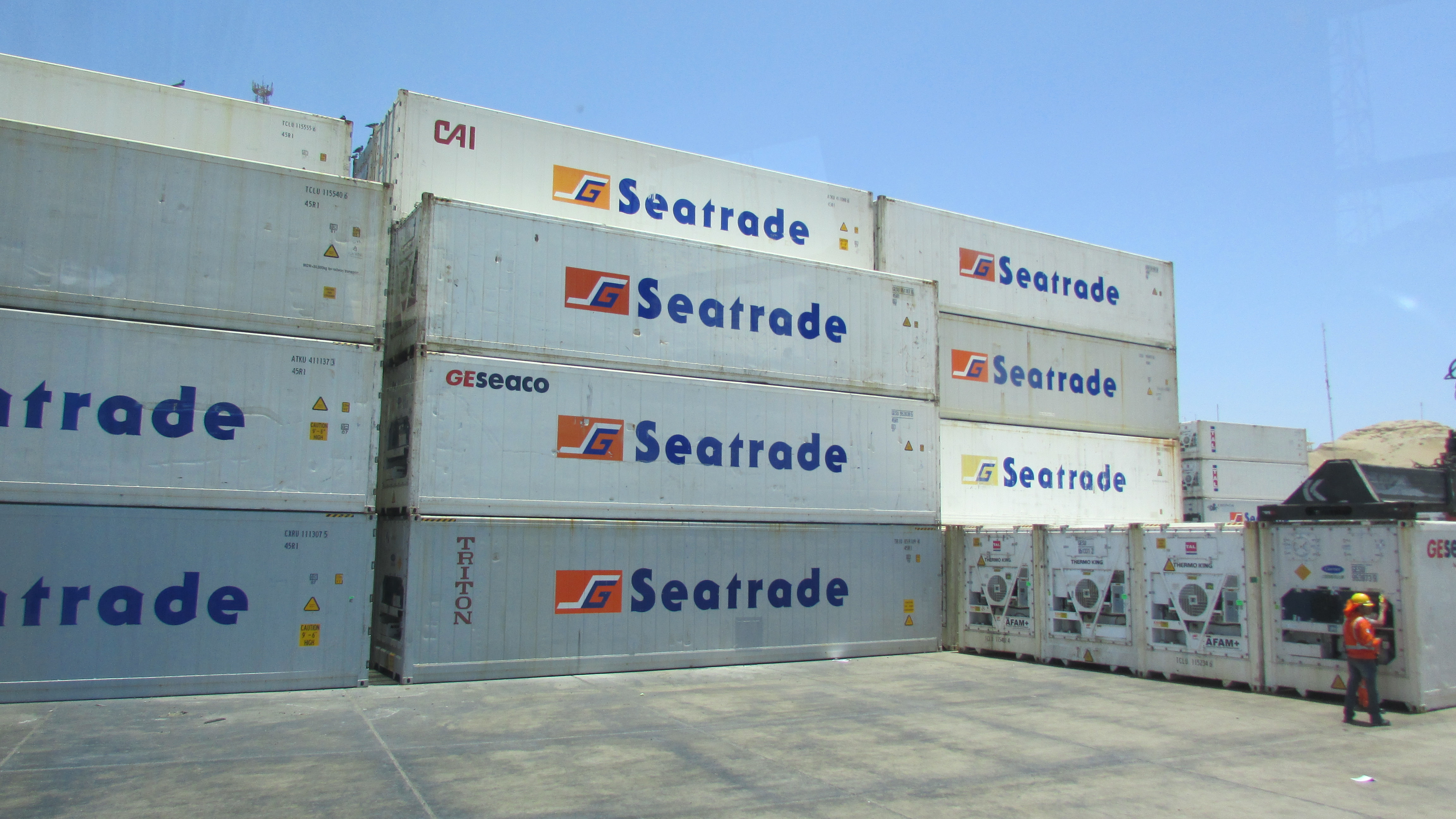 agroexportación-reefer