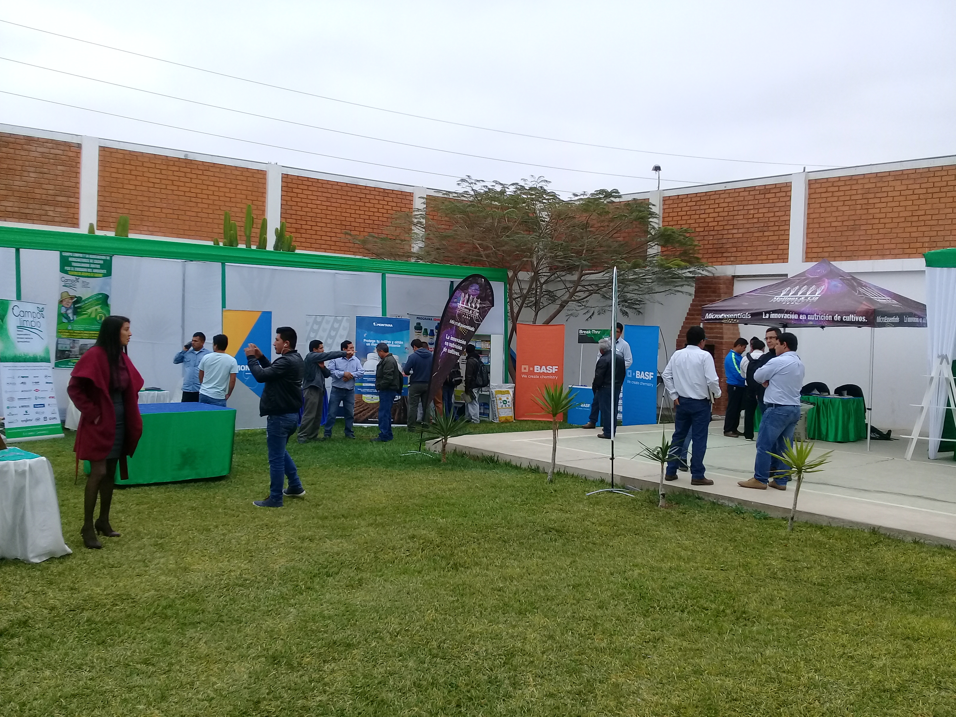 I SIMPOSIO DE BERRIES 2017 1
